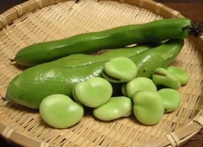 1665471069637235.jpg 蠶豆.jpg